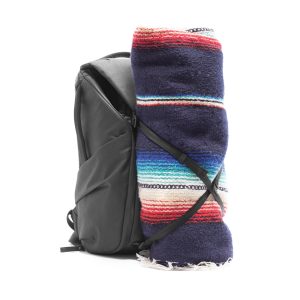 Peak Design Everyday Backpack 20L V2 6